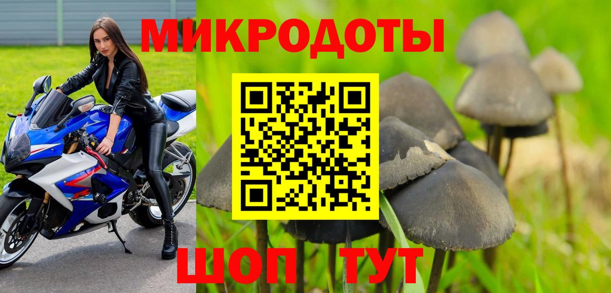 Галлюциногенные грибы Magic Shrooms  закладка  Нижний Тагил  Псилоцибиновые грибы мицелий  Вход с VPN 